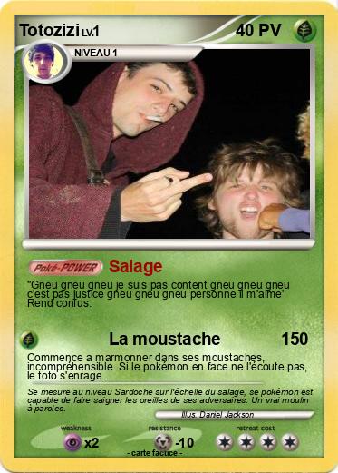 Pokemon Totozizi