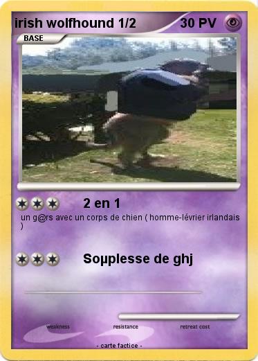 Pokemon irish wolfhound 1/2
