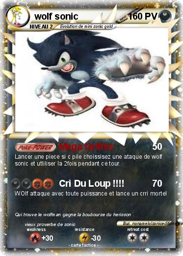 Pokemon wolf sonic