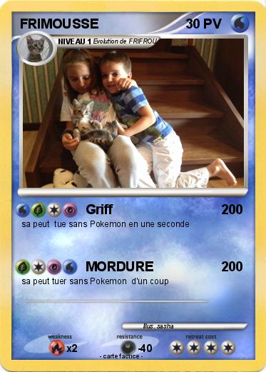 Pokemon FRIMOUSSE