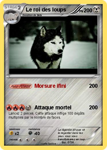 Pokemon Le roi des loups