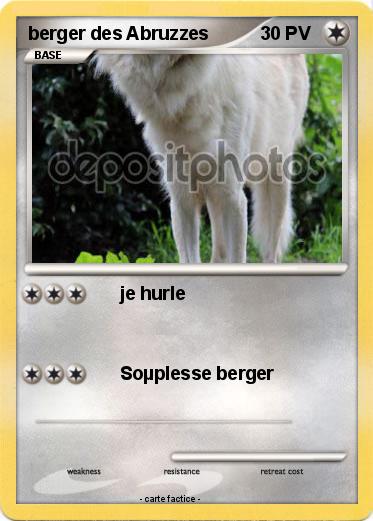 Pokemon berger des Abruzzes