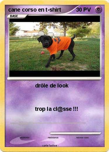 Pokemon cane corso en t-shirt