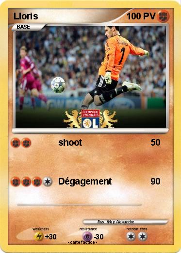 Pokemon Lloris