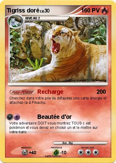 Pokemon Tigriss doré