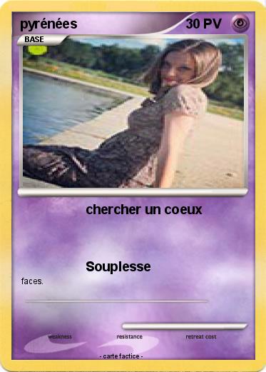 Pokemon pyrénées