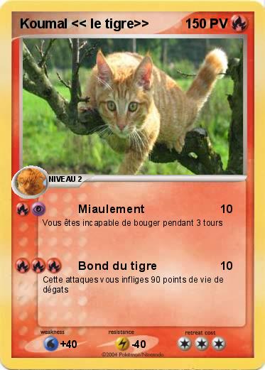 Pokemon Koumal << le tigre>>