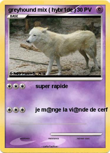 Pokemon greyhound mix ( hybr1de )