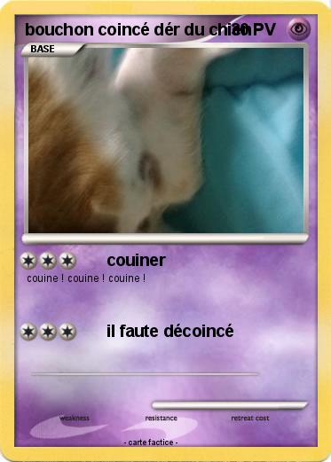 Pokemon bouchon coincé dér du chien