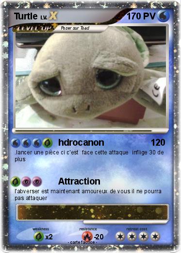 Pokemon Turtle