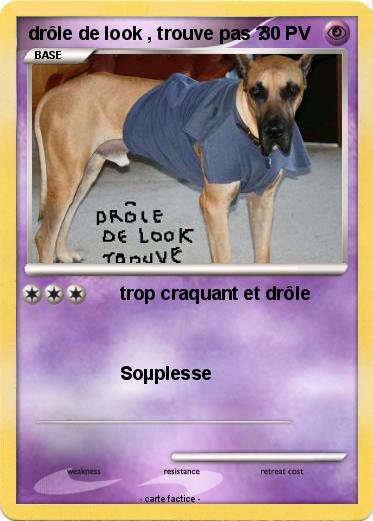 Pokemon drôle de look , trouve pas ?