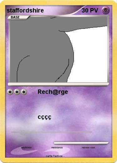 Pokemon staffordshire