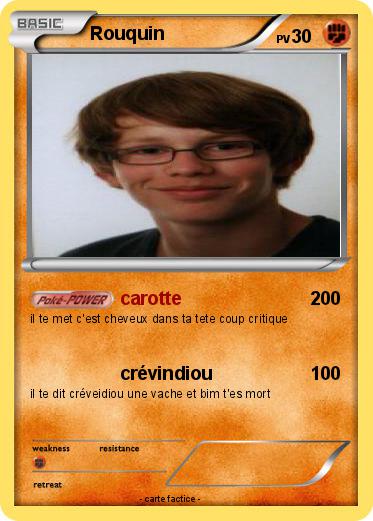 Pokemon Rouquin