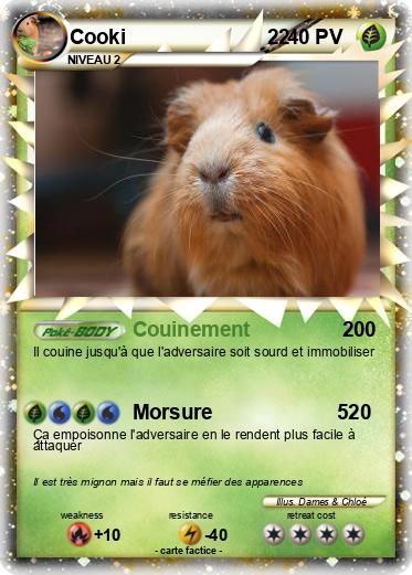 Pokemon Cooki                         22