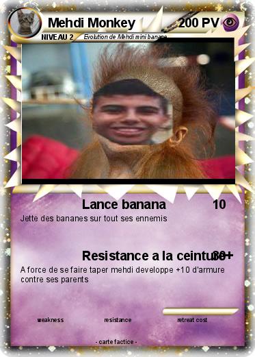 Pokemon Mehdi Monkey