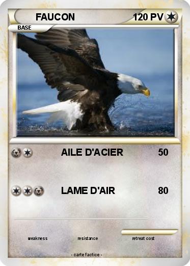 Pokemon FAUCON