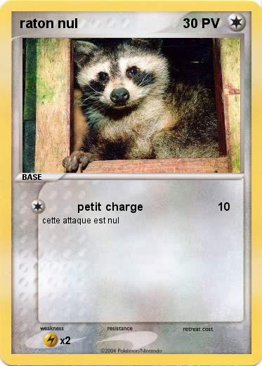 Pokemon raton nul