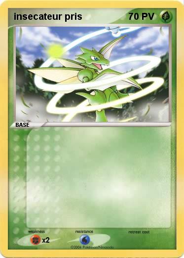 Pokemon insecateur pris
