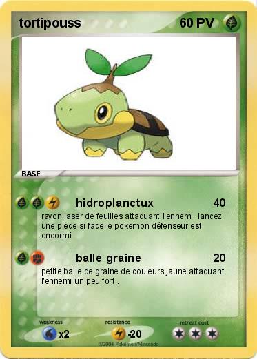 Pokemon tortipouss