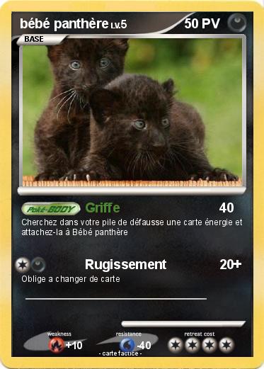 Pokemon bébé panthère