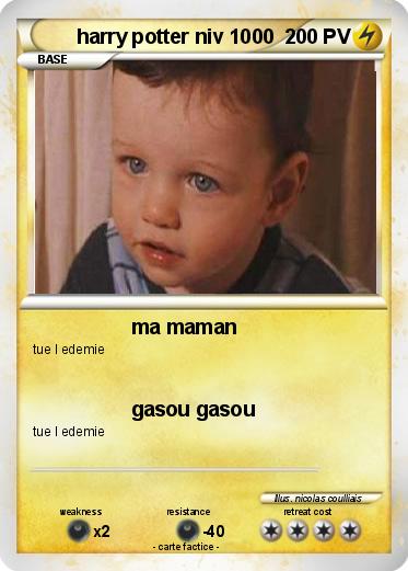 Pokemon harry potter niv 1000