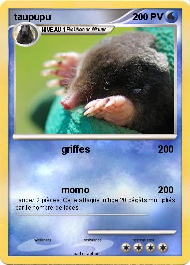 Pokemon taupupu