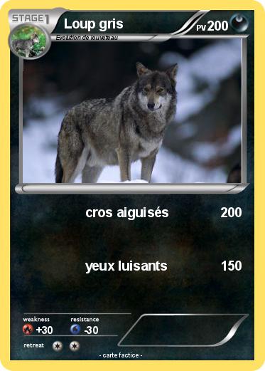 Pokemon Loup gris