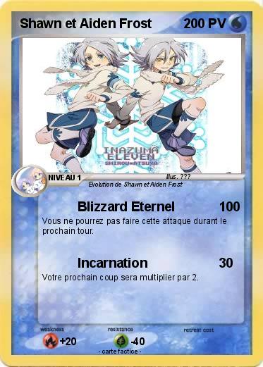 Pokemon Shawn et Aiden Frost