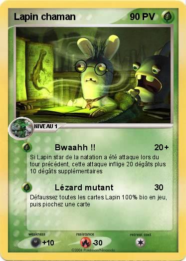 Pokemon Lapin chaman