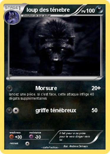 Pokemon loup des ténebre