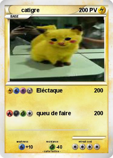 Pokemon catigre