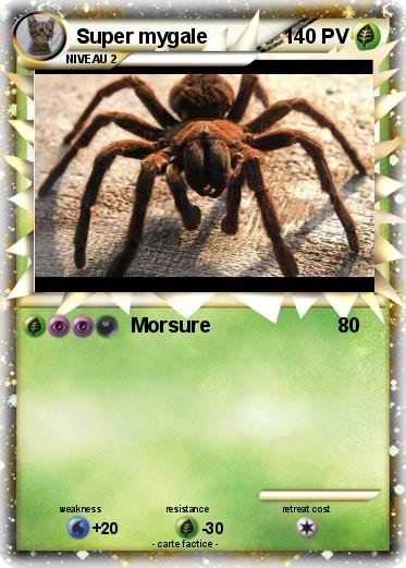 Pokemon Super mygale