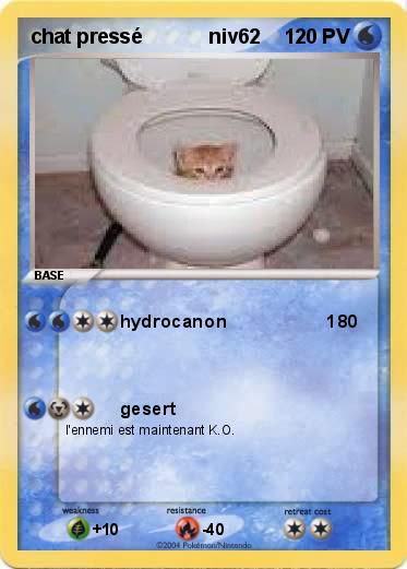 Pokemon chat pressé            niv62
