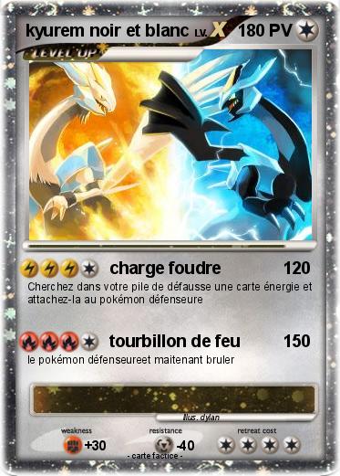 Pokemon kyurem noir et blanc