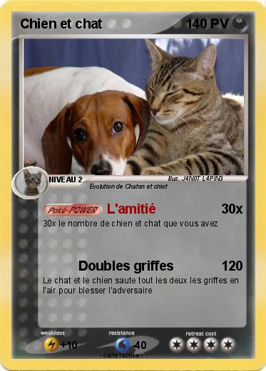 Pokemon Chien et chat