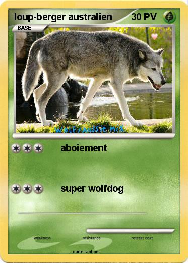 Pokemon loup-berger australien