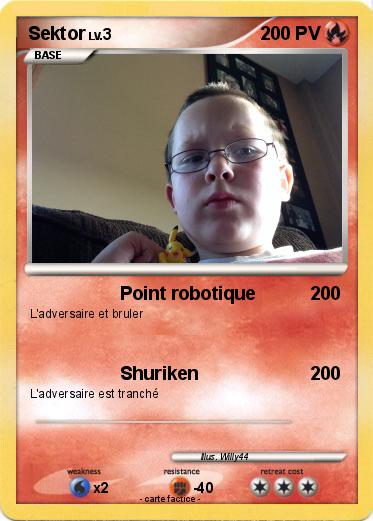 Pokemon Sektor
