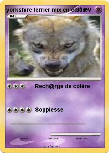 Pokemon yorkshire terrier mix en colère