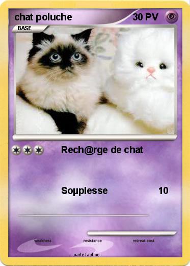 Pokemon chat poluche