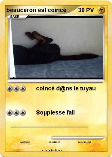 Pokemon beauceron est coincé