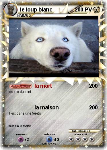 Pokemon le loup blanc