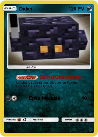 Pokemon Didier