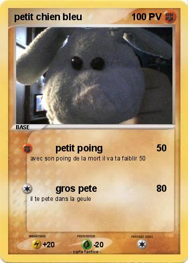 Pokemon petit chien bleu
