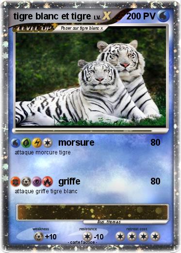 Pokemon tigre blanc et tigre
