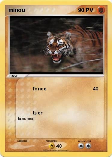 Pokemon minou