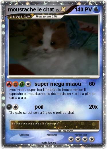Pokemon moustache le chat