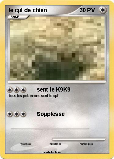 Pokemon le cµl de chien