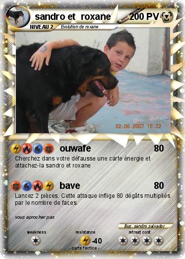 Pokemon sandro et  roxane