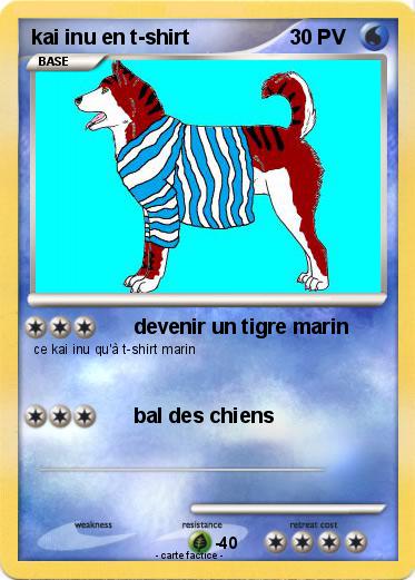 Pokemon kai inu en t-shirt