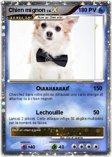 Pokemon Chien mignon
